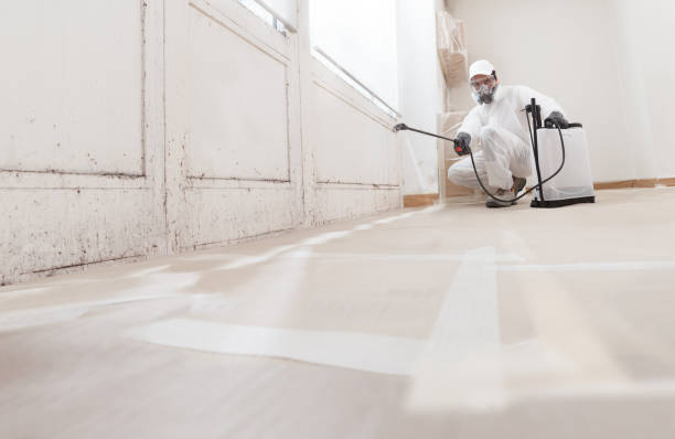 24/7 Emergency Mold Removal experts in Breezewood, PA